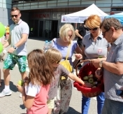 Radni rozdają jabłka. Radni rozdają jabłka.