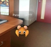 Ekran aplikacji w czasie rzeczywistym. Wyświetlił się na nim Pokemon Paras. Ekran aplikacji w czasie rzeczywistym. Wyświetlił się na nim Pokemon Paras.