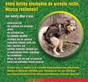 Akcja: Psia Kupa Akcja: Psia Kupa