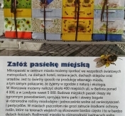 Załóż pasiekę miejską