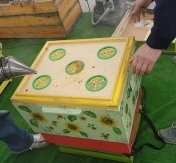 Przegląd wiosenny