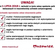 Infografika