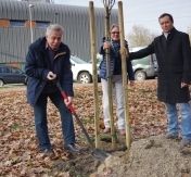 Zakończenie akcji „100 drzew na 100-lecie Niepodległości”