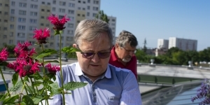 Sadzenie roślin