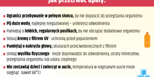 Grafika: jak przetrwać upały?