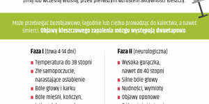 Grafika: kleszczowe zapalenie mózgu Grafika: kleszczowe zapalenie mózgu
