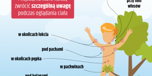 Grafika: ulubione miejsca żerowania Grafika: ulubione miejsca żerowania