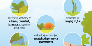 Grafika:gdzie można spotkać kleszcza? Grafika:gdzie można spotkać kleszcza?