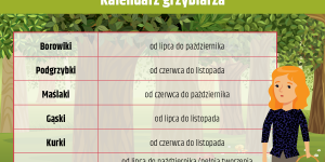 Grafika: kalendarz grzybiarza