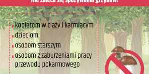 Grafika: Kto nie powinien spożywać grzybów
