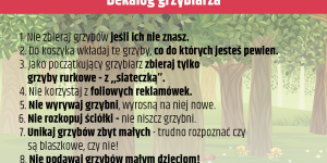 Grafika: dekalog grzybiarza