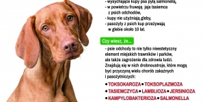 Plakat promujący akcję Trawnikowy deKUPAż