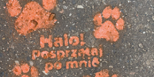 Napis na chodniku: Halo posprzątaj po mnie