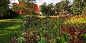 Łąka kwietna, w tle kościół i park. Autor Adam Stoczkiewicz, pt. Kolory jesieni. Łąka kwietna, w tle kościół i park. Autor Adam Stoczkiewicz, pt. Kolory jesieni.