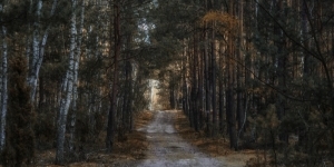 Dróżka w lesie. Autor Zdzisław Żarna, pt. Leśna droga. Dróżka w lesie. Autor Zdzisław Żarna, pt. Leśna droga.