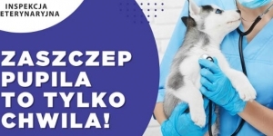 Mazowiecki Wojewódzki Lekarz Weterynarii prowadzi kampanię informacyjną „Zaszczep pupila, to tylko chwila” promującą obowiązkowe szczepienia psów przeciwko wściekliźnie na terenie województwa mazowieckiego.