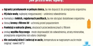 Grafika promująca odpowiednie zachowania podczas upałów