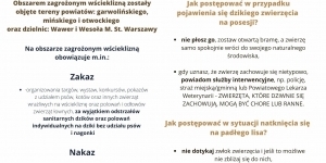 Plakat- wścieklizna, postępowanie w przypadku znalezienia dzikiego zwierzęcia