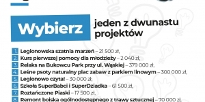 Na zdjęciu lista projektów poddanych pod głosowanie Na zdjęciu lista projektów poddanych pod głosowanie