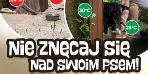 palakt akcji Pies czuje tak jak Ty