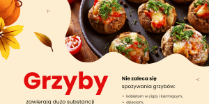 tablica nt grzybów tablica nt grzybów