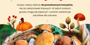 tablica nt grzybów tablica nt grzybów