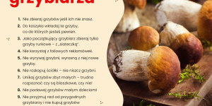 tablica nt grzybów tablica nt grzybów