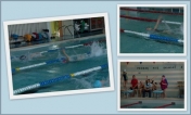 Foto: sp7 legionowo