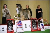 Best in Show
