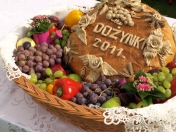 chleb z tegorocznych zbiorów