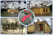 Budynek Filii Piaski Muzeum Historycznego w Legionowie