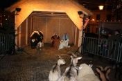 Podczas imprezy nie mogło zabraknąć Bożonarodzeniowej szopki z żywymi zwierzętami