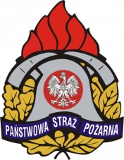 Logo PSP