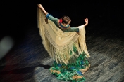 Noche de Flamenco. Impreza Biletowana