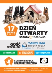 Schronisko dla bezdomnych psów - dzień otwarty