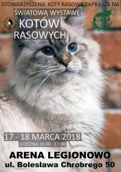 Światowa Wystawa Kotów w legionowie