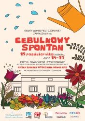 Cebulkowy Spontan
