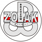 Logo: Zespół Ochrony Pamięci Armii Krajowej 