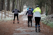 Osoby trenujące na nartorolkach.