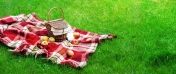 Na trawie rozłożony koc, na nim koszyk i jabłka.