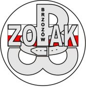 Logo Zespół Ochrony Pamięci Armii Krajowej 'Brzozów'