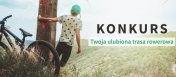 Chłopiec w kasku trzyma jedną ręką drzewo.