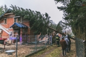 Drzewo przewrócone na dach
