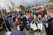 Duża grupa osób podczas pikniku
