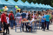 Tłum ludzi podczas pikniku