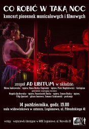 Plakat koncertu: Co robić w taką noc