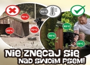 palakt akcji Pies czuje tak jak Ty