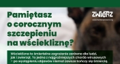 plakat z rozmytym zdjęciem psa z zielonymi napisami