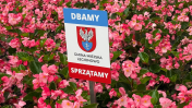 tabliczka na tle kwiatów