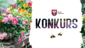 widoczne kwiaty oraz napis konkurs